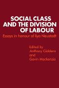 Social Class and the Division of Labour: Essays in Honour of Ilya Neustadt
