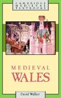 Medieval Wales Cambridge Medieval Textb