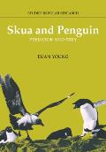 Skua & penguin predator & prey
