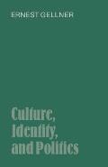 Culture, Identity, and Politics