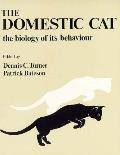 Domestic Cat The Biology Of Its Behaviou