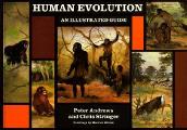 Human Evolution An Illustrated Guide