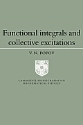 Functional Integrals & Collective Excitations