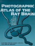 Photographic Atlas Of The Rat Brain