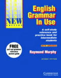 English Grammar In Use A Self Study 2nd Edition