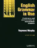 English Grammar In Use 2nd Edition