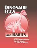 Dinosaur Eggs & Babies