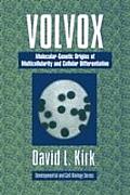 Volvox: Molecular Genetic Origins of Multicellularity & Cellular Differentiation