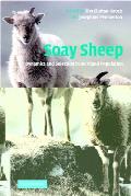 Soay Sheep: Dynamics and Selection in an Island Population