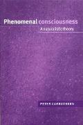 Phenomenal Consciousness: A Naturalistic Theory