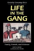 Life in the Gang: Family, Friends, and Violence