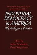 Industrial Democracy in America: The Ambiguous Promise