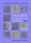 Yeasts: Characteristics and Identification