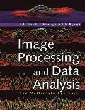 Image Processing & Data Analysis The Multiscale Approach