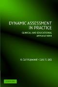 Dynamic Assessment in Practice: Clinical and Educational Applications