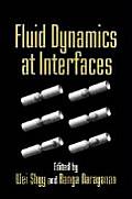 Fluid Dynamics at Interfaces