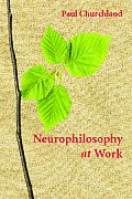 Neurophilosophy At Work