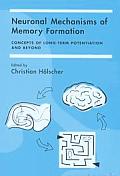Neuronal Mechanisms of Memory Formation: Concepts of Long-Term Potentiation and Beyond