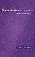 Phenomenal Consciousness: A Naturalistic Theory