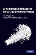 Direct Numerical Simulations of Gas Liquid Multiphase Flows