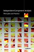 Independent Component Analysis: Principles and Practice