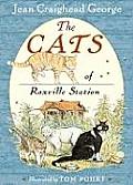 Cats Of Roxville Station