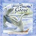 Little Snow Goose