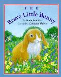 Brave Little Bunny