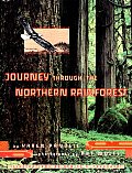 Journey Through The Northern Rainforest