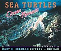 Sea Turtles Ocean Nomads