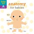 Baby 101 Anatomy for Babies