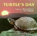 Turtles Day