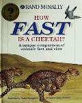 How Fast Is A Cheetah