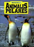 Animales Polares Biblioteca Grafica