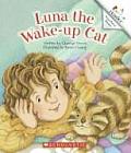 Luna The Wake Up Cat