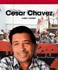Cesar Chavez: Labor Leader (Great Life Stories: Social Leaders)