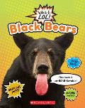Black Bears Wild LIfe LOL