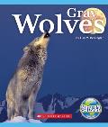 Gray Wolves Natures Children