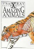 X Ray Picture Book Of Amazing Animals