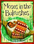 Moses in Bulrushes (Bible Stories)