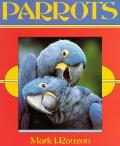 Parrots
