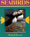 Seabirds