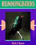 Hummingbirds