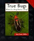 True Bugs When Is A Bug Really A Bug