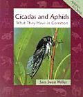 Cicadas & Aphids What They Have In Com