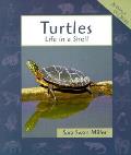 Turtles Life In A Shell Animals In Order