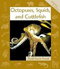 Octopuses Squids & Cuttlefish