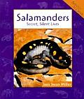 Salamanders Secret Silent Lives