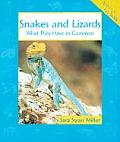 Animals In Order Snakes & Lizards