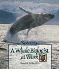 Whale Biologist At Work Wildlife Conserv